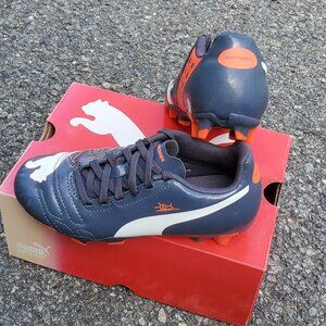 PUMA evoPOWER 4 FG Junior Soccer Cleat Football boot Youth Ombre Blue 102964 02